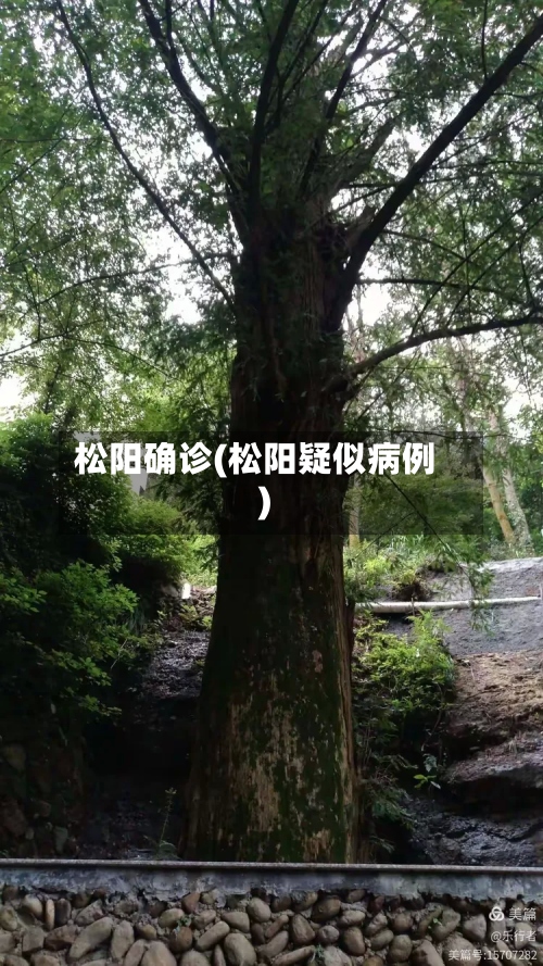 松阳确诊(松阳疑似病例)