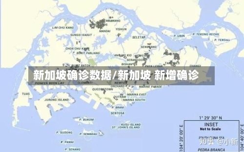 新加坡确诊数据/新加坡 新增确诊
