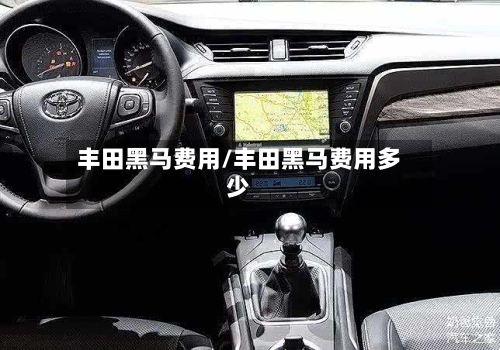 丰田黑马费用/丰田黑马费用多少