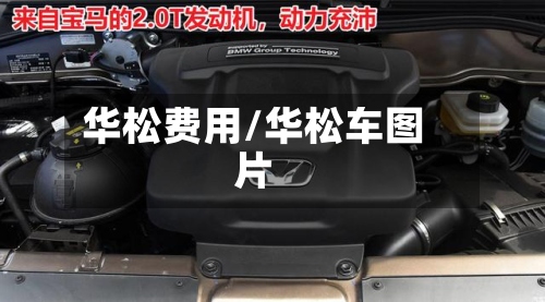 华松费用/华松车图片-第2张图片