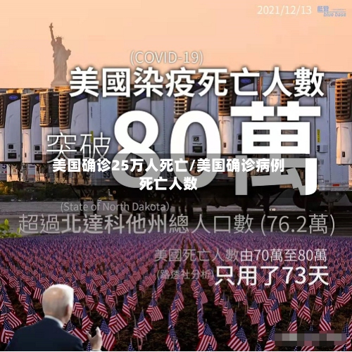 美国确诊25万人死亡/美国确诊病例死亡人数