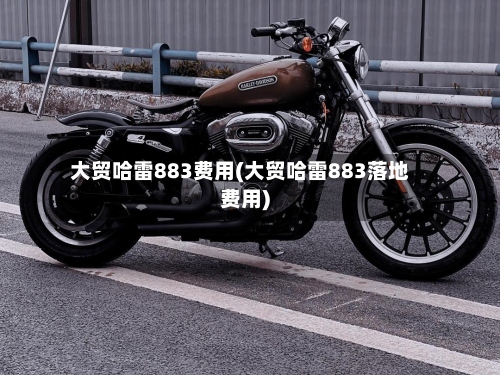 大贸哈雷883费用(大贸哈雷883落地费用)