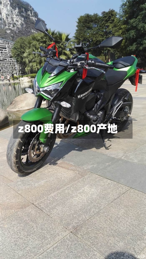 z800费用/z800产地-第2张图片
