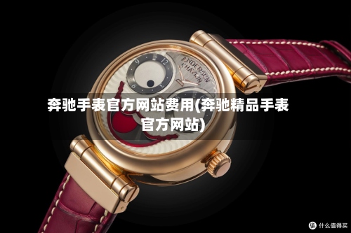 奔驰手表官方网站费用(奔驰精品手表官方网站)