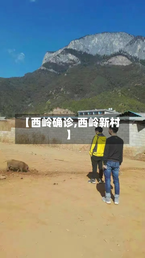 【西岭确诊,西岭新村】-第2张图片