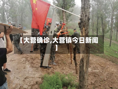 【大营确诊,大营镇今日新闻】-第3张图片