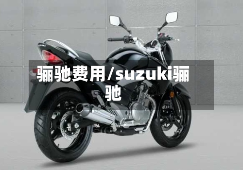骊驰费用/suzuki骊驰
