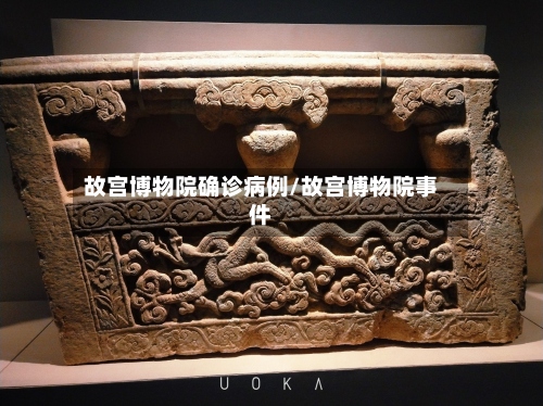 故宫博物院确诊病例/故宫博物院事件-第2张图片