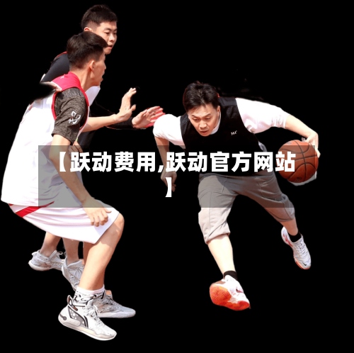 【跃动费用,跃动官方网站】
