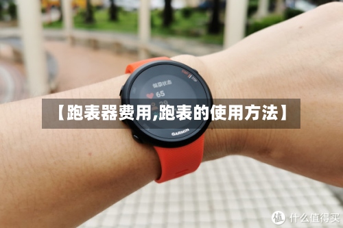 【跑表器费用,跑表的使用方法】