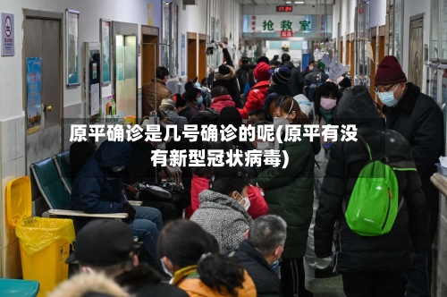 原平确诊是几号确诊的呢(原平有没有新型冠状病毒)-第2张图片