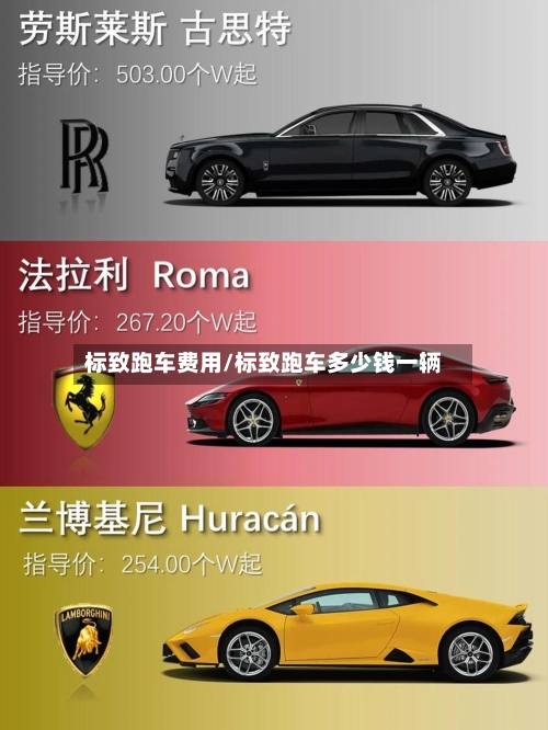标致跑车费用/标致跑车多少钱一辆-第2张图片