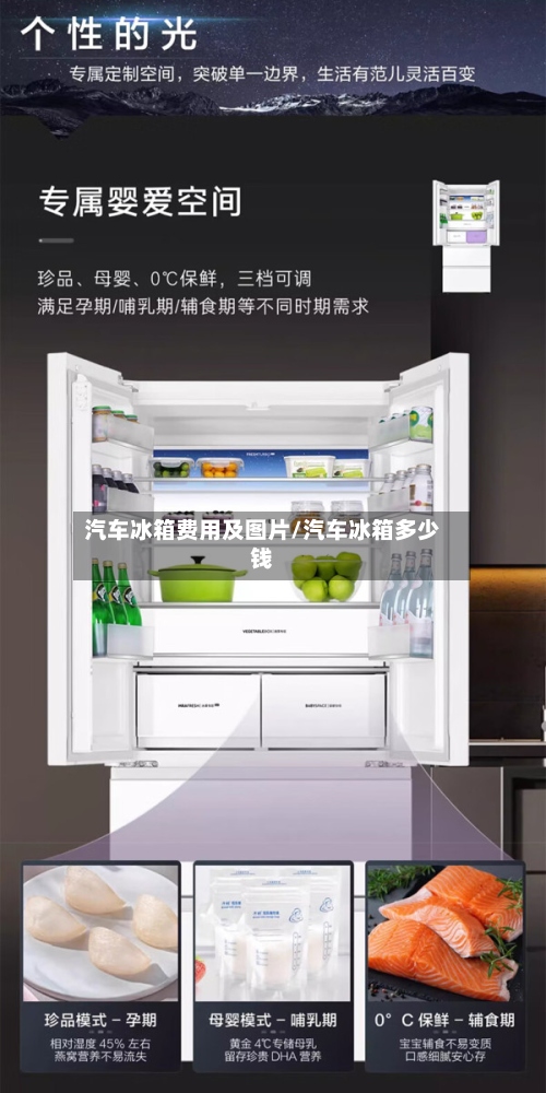 汽车冰箱费用及图片/汽车冰箱多少钱-第2张图片