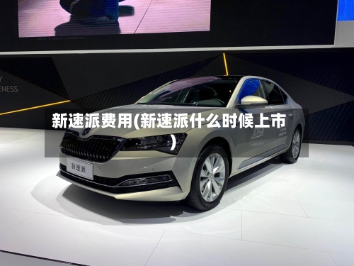 新速派费用(新速派什么时候上市)-第3张图片