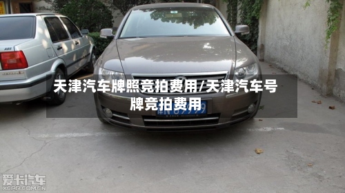 天津汽车牌照竞拍费用/天津汽车号牌竞拍费用