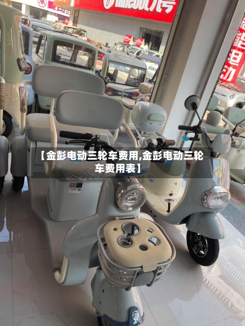【金彭电动三轮车费用,金彭电动三轮车费用表】-第2张图片