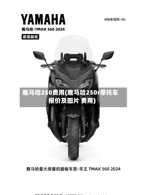 雅马哈250费用(雅马哈250r摩托车报价及图片 费用)-第2张图片