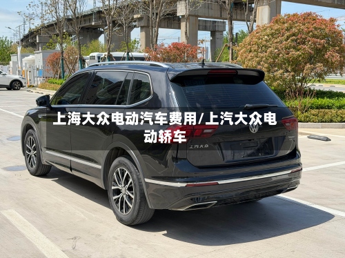 上海大众电动汽车费用/上汽大众电动轿车
