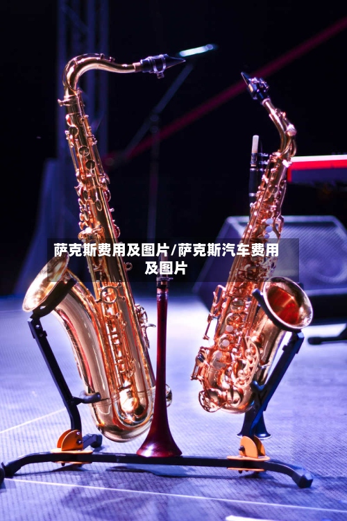 萨克斯费用及图片/萨克斯汽车费用及图片