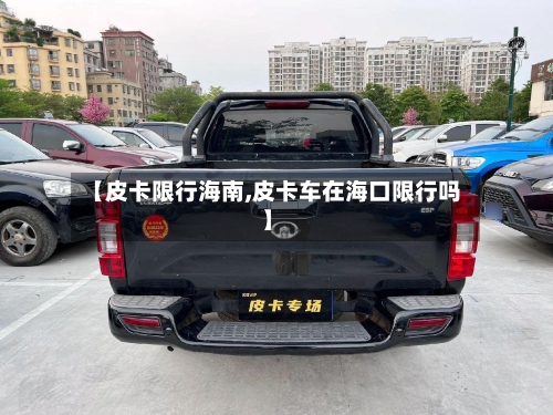 【皮卡限行海南,皮卡车在海口限行吗】-第3张图片