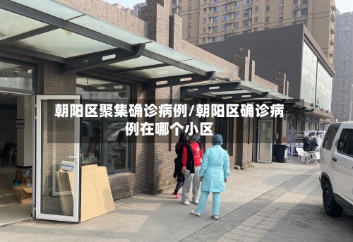 朝阳区聚集确诊病例/朝阳区确诊病例在哪个小区-第2张图片