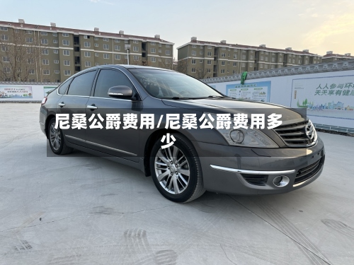尼桑公爵费用/尼桑公爵费用多少