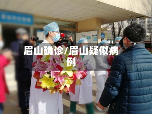 眉山确诊/眉山疑似病例