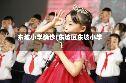 东坡小学确诊(东坡区东坡小学)