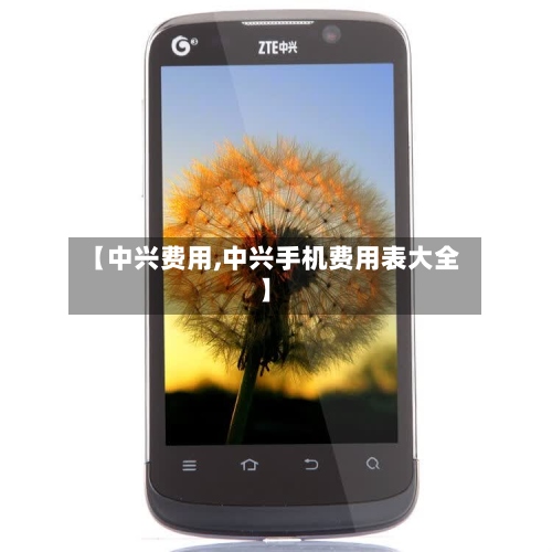 【中兴费用,中兴手机费用表大全】