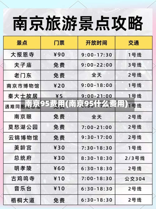 南京95费用(南京95什么费用)-第2张图片
