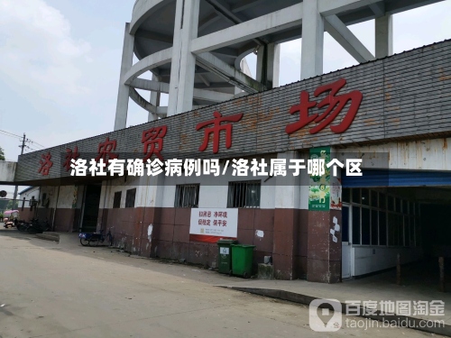 洛社有确诊病例吗/洛社属于哪个区-第2张图片