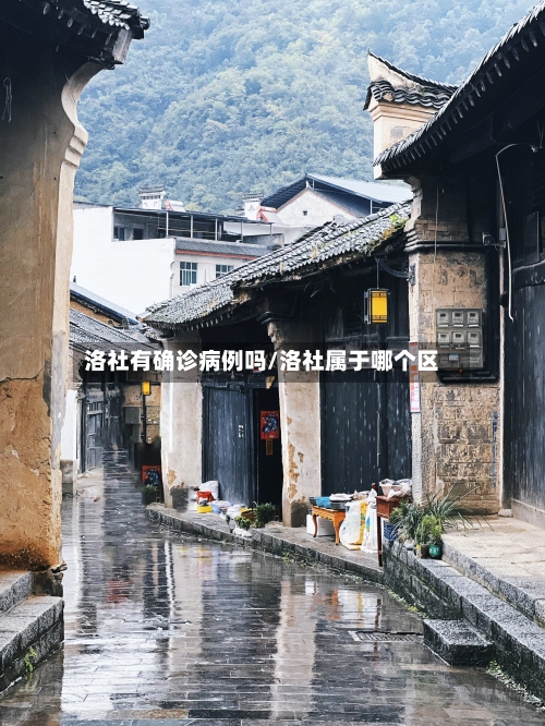 洛社有确诊病例吗/洛社属于哪个区