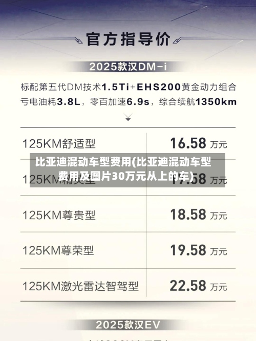 比亚迪混动车型费用(比亚迪混动车型费用及图片30万元从上的车)