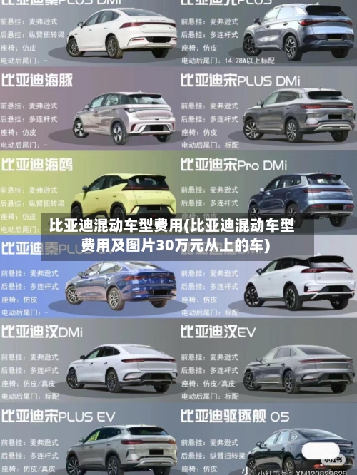 比亚迪混动车型费用(比亚迪混动车型费用及图片30万元从上的车)-第3张图片
