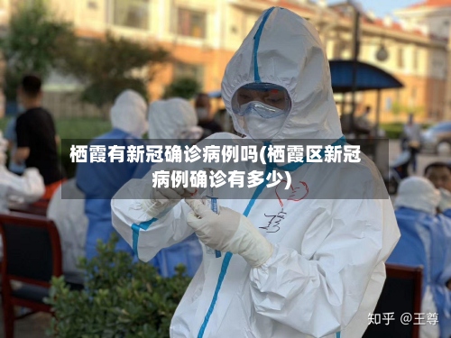 栖霞有新冠确诊病例吗(栖霞区新冠病例确诊有多少)