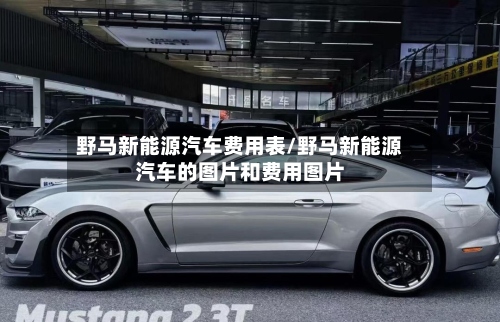 野马新能源汽车费用表/野马新能源汽车的图片和费用图片