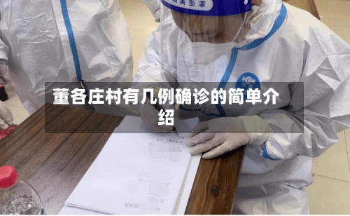 董各庄村有几例确诊的简单介绍-第2张图片
