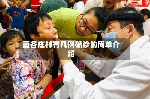 董各庄村有几例确诊的简单介绍