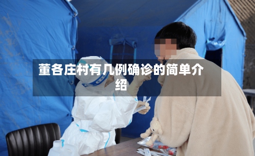 董各庄村有几例确诊的简单介绍-第3张图片