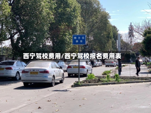 西宁驾校费用/西宁驾校报名费用表