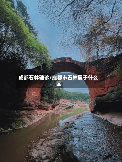 成都石林确诊/成都市石林属于什么区-第2张图片