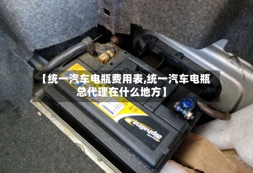 【统一汽车电瓶费用表,统一汽车电瓶总代理在什么地方】-第3张图片