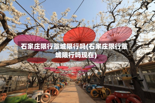 石家庄限行藁城限行吗(石家庄限行藁城限行吗现在)-第2张图片