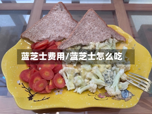 蓝芝士费用/蓝芝士怎么吃-第2张图片