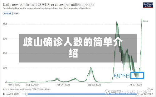 歧山确诊人数的简单介绍-第2张图片