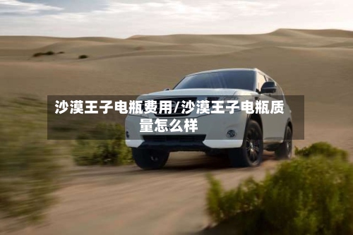 沙漠王子电瓶费用/沙漠王子电瓶质量怎么样-第2张图片