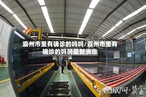 霸州市里有确诊的吗吗/霸州市里有确诊的吗吗最新消息