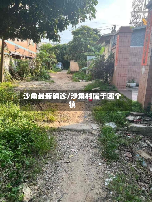 沙角最新确诊/沙角村属于哪个镇-第2张图片