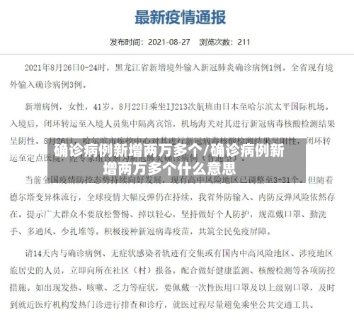 确诊病例新增两万多个/确诊病例新增两万多个什么意思-第2张图片