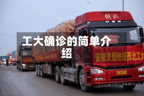 工大确诊的简单介绍